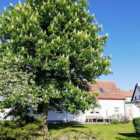 Ferienwohnung Lodig Gross Sarchen エクステリア 写真